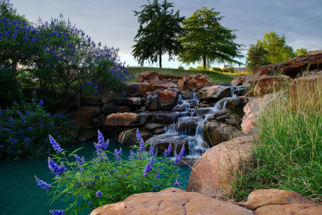 Holiday Inn Express Frisco Legacy Park Area by IHG