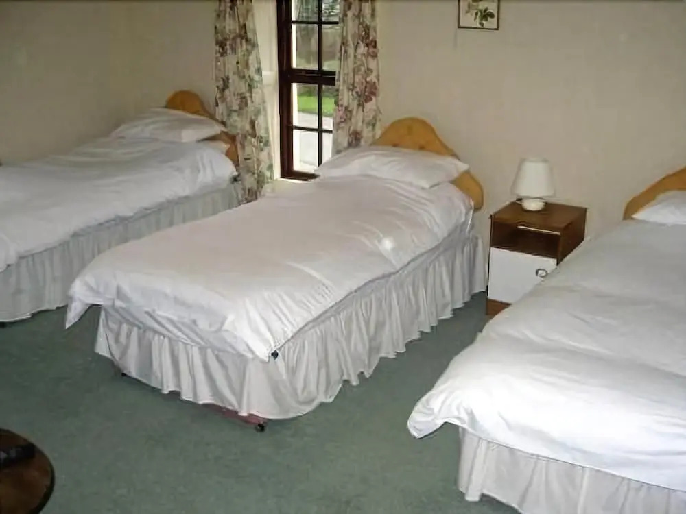 Holland arms hotel