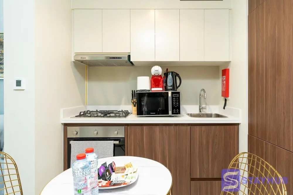 Elegant 1BR Apt Near Down Town