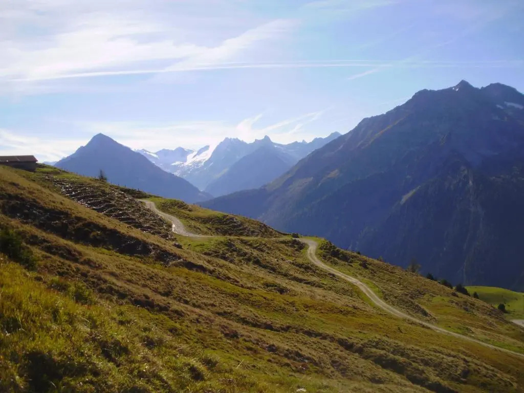 Scheurerhof