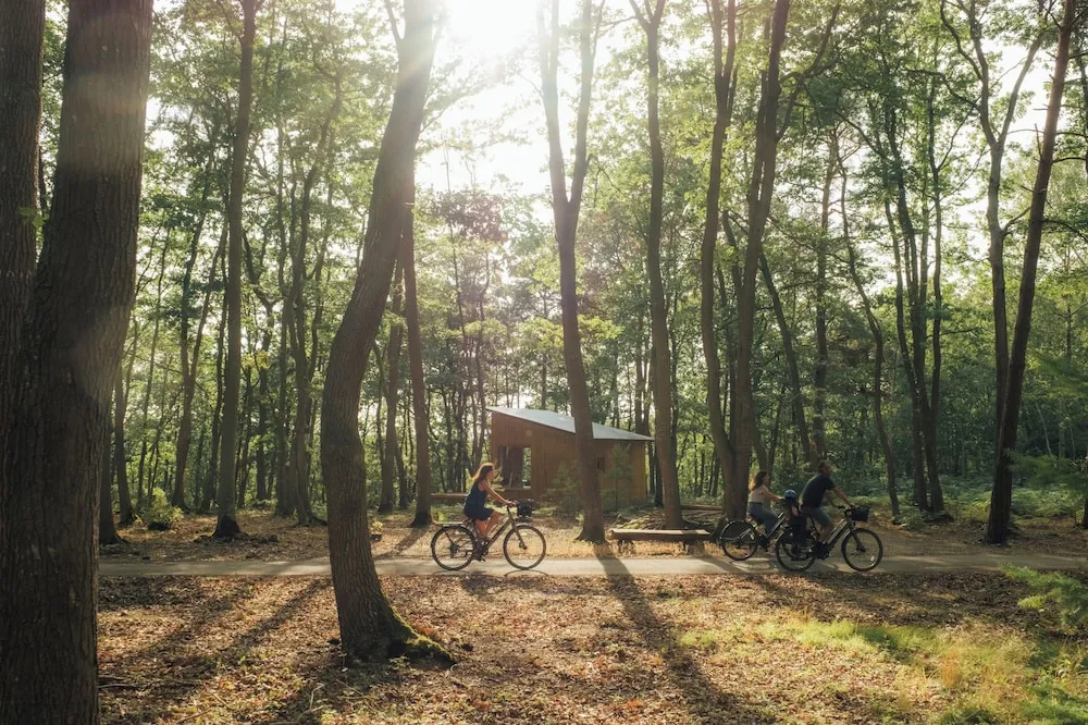 Youza ecolodge cabanes dans les arbres