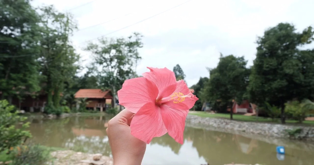 Chaba Resort Chanthaburi