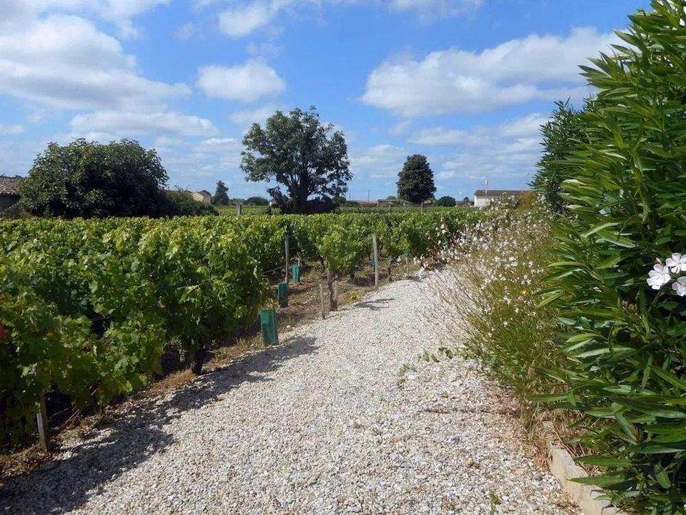 Château Papounan