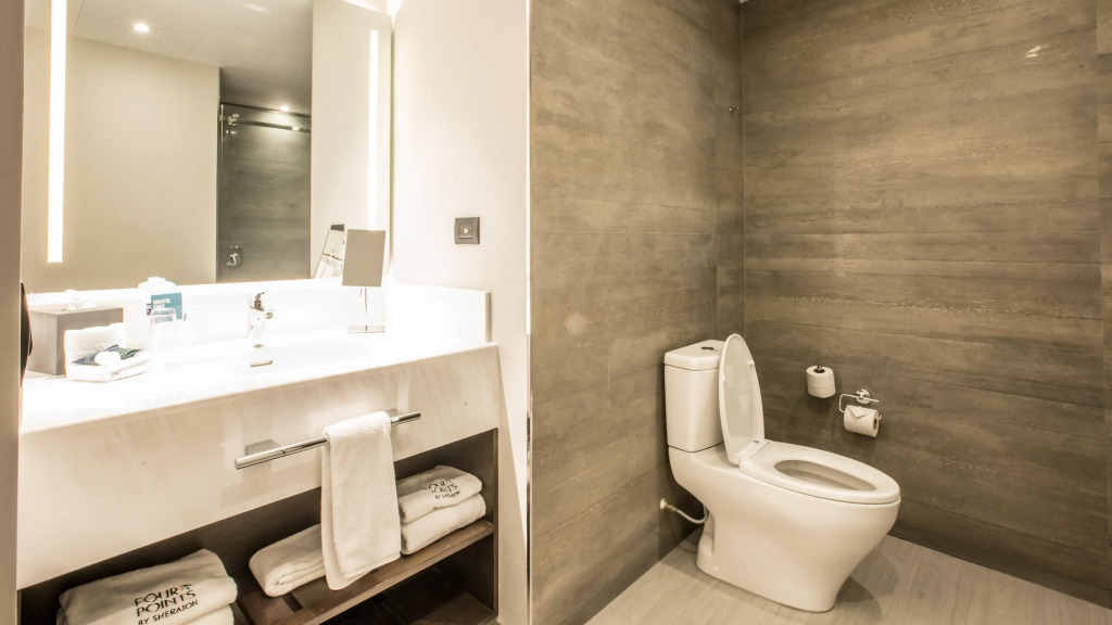 Four Points by Sheraton Puebla