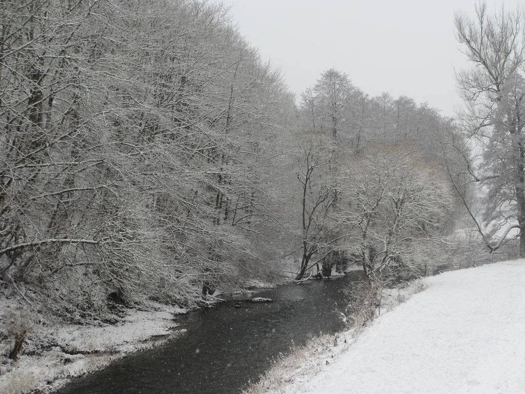 Zur Alten Mühle