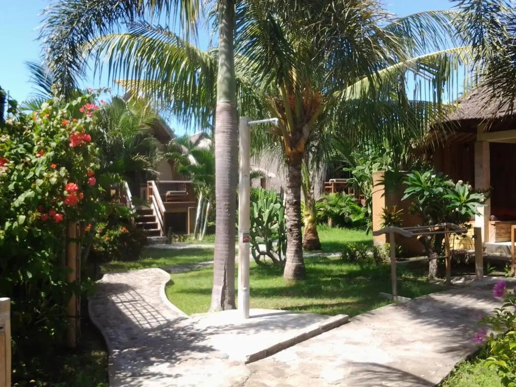 Coconut Dream