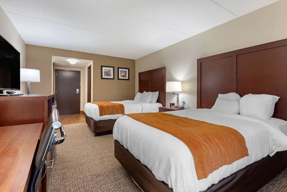 Comfort Inn Binghamton I-81
