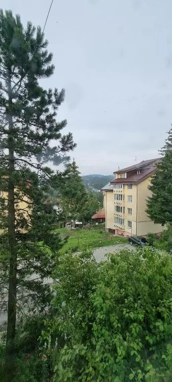 Apartament 3 camere