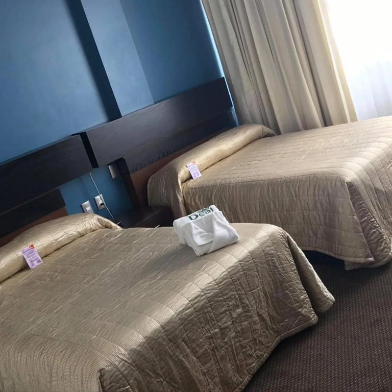 Hotel Real Rex