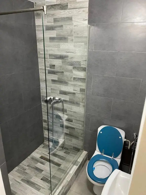 Apartament 1 camera regim hotelier