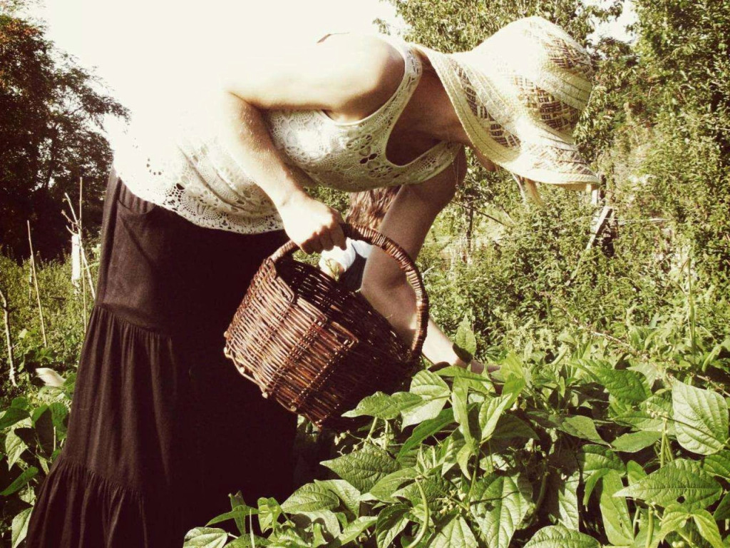 L'A Ceccoli