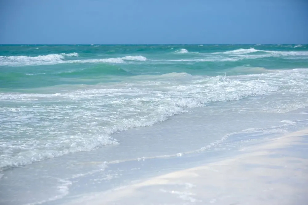 New Listing! Tranquil Getaway 350 To Prized Beach 1 Bedroom Apts