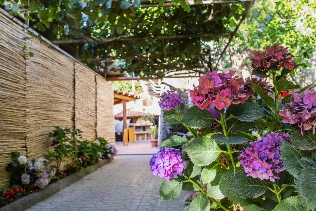 VILLA LA NATURA x6 WITH GARDEN AND FREE PRIVATE PARKING