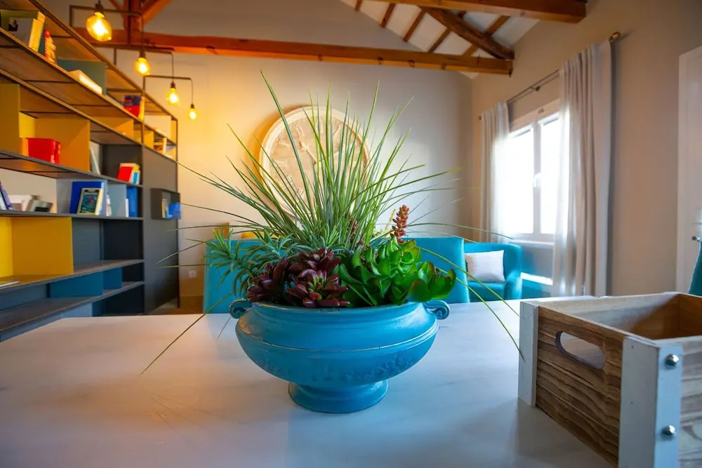 El Patio de los Jazmines Boutique-House