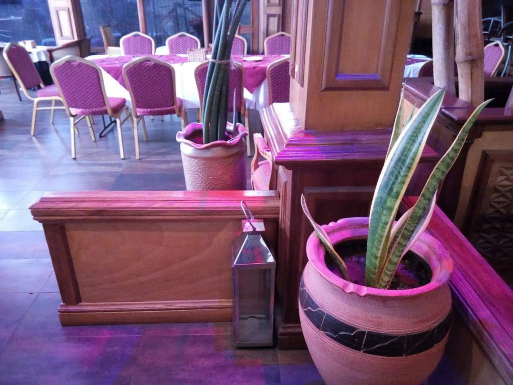 Highgate Hotel