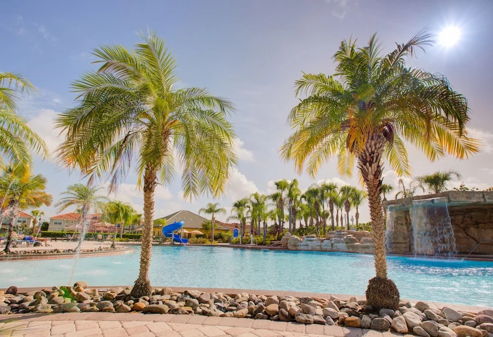 Enchanted Palms