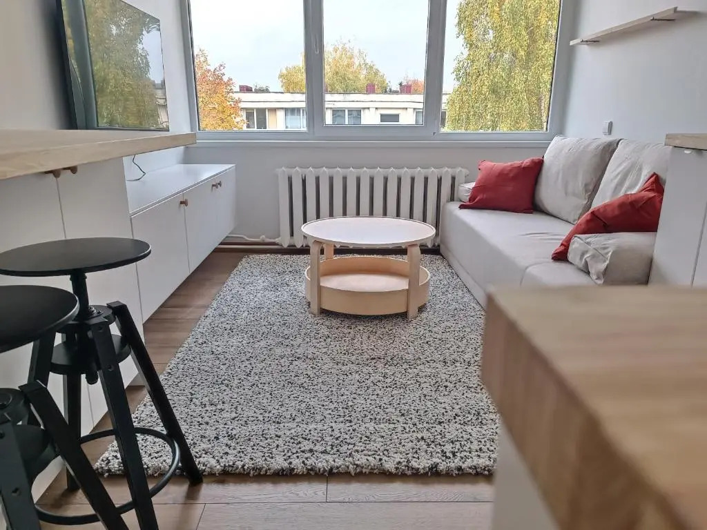Stylish Studio in Central Vilnius