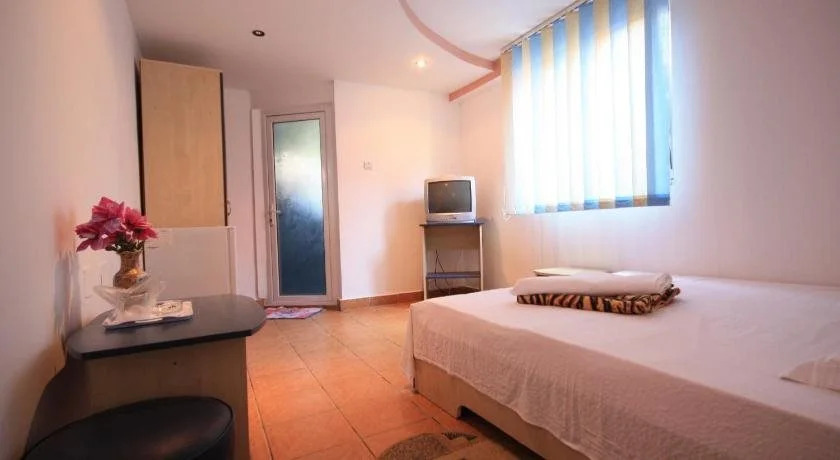 Vila Casa Leul