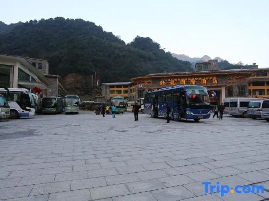 Wolong International Hotel