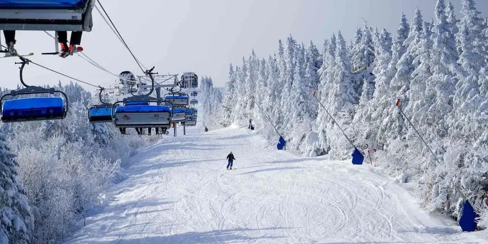 Chalet 239-Boutique Hotel