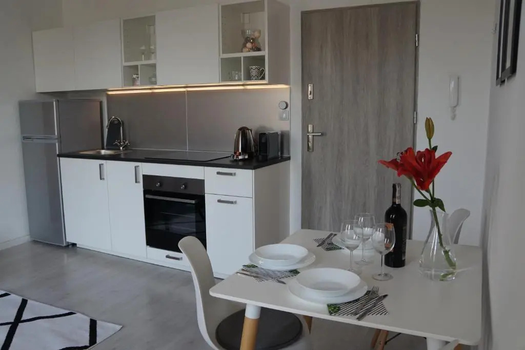 Apartament Gliwice Centrum Witkiewicza I