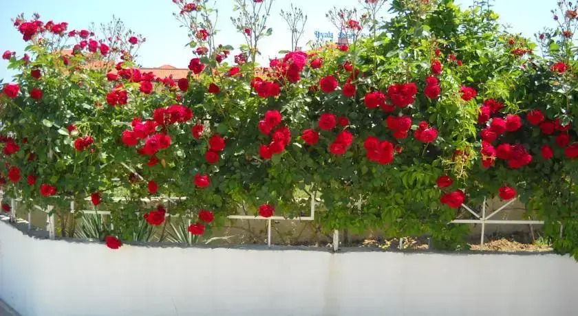 Sani Family Hotel