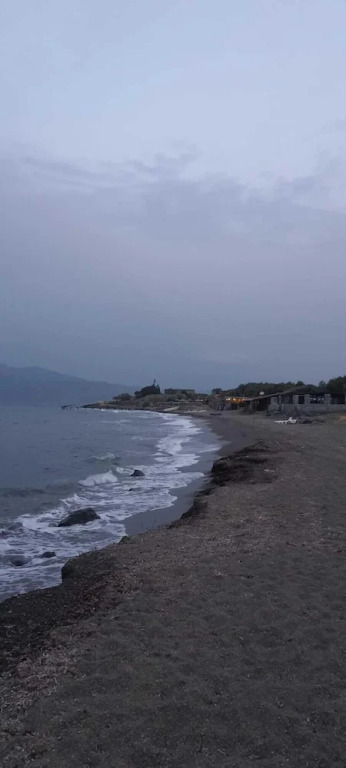 Mavi Kuş