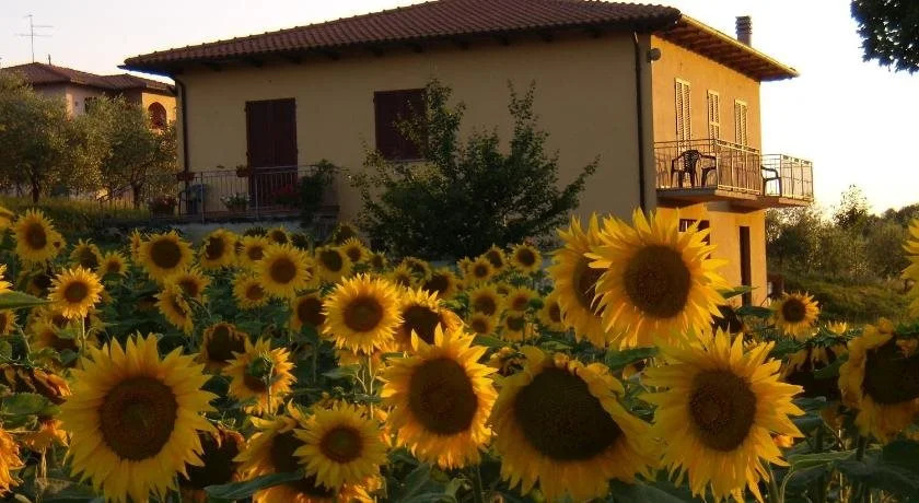 B&B Il Girasole