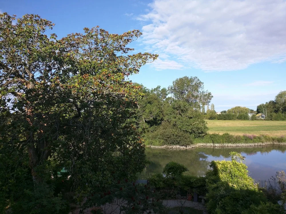 Quai des Fleurs