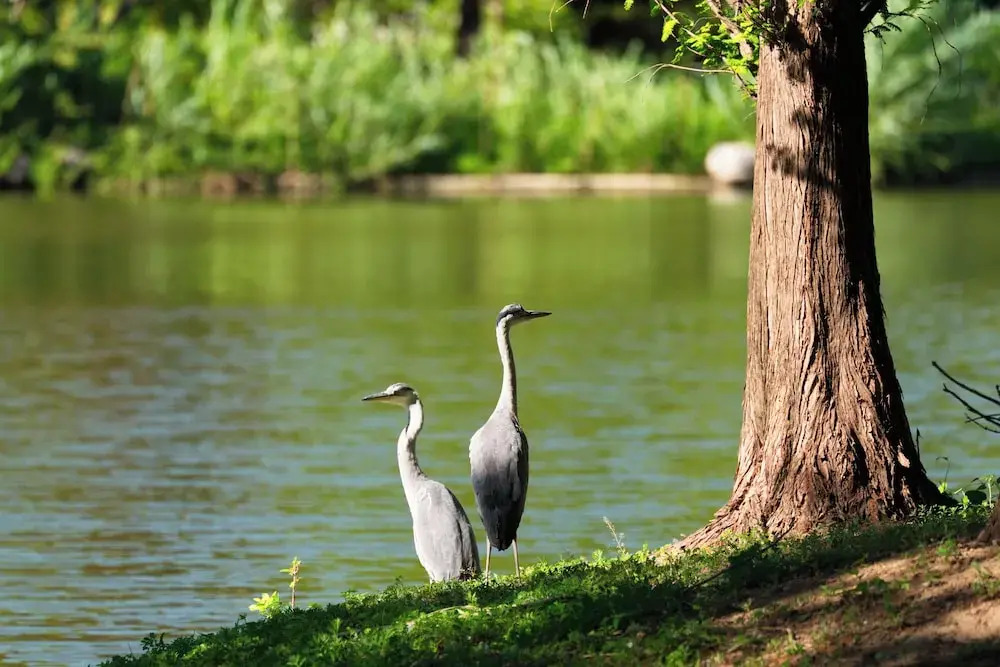 Zhi Resort Beijing