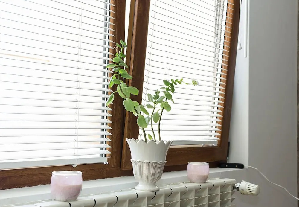 FM Luxury 1-BDR Apartment  with Terrace