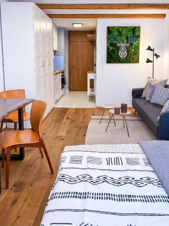 swissme - modernes Studio mit Balkon & Parkplatz & Netflix