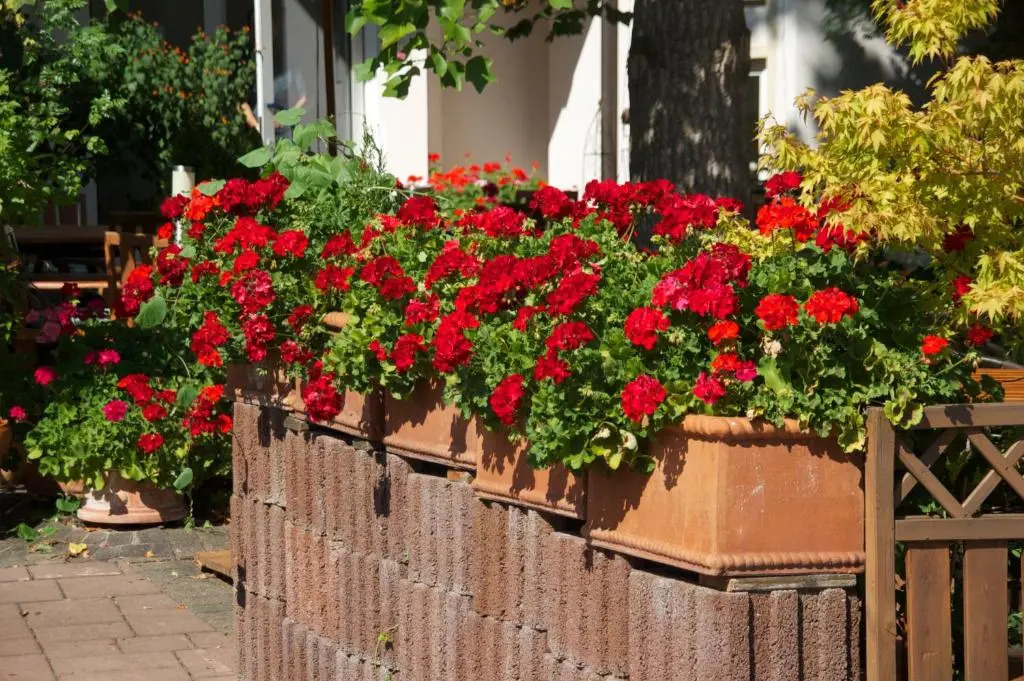 Hotel Hirsch