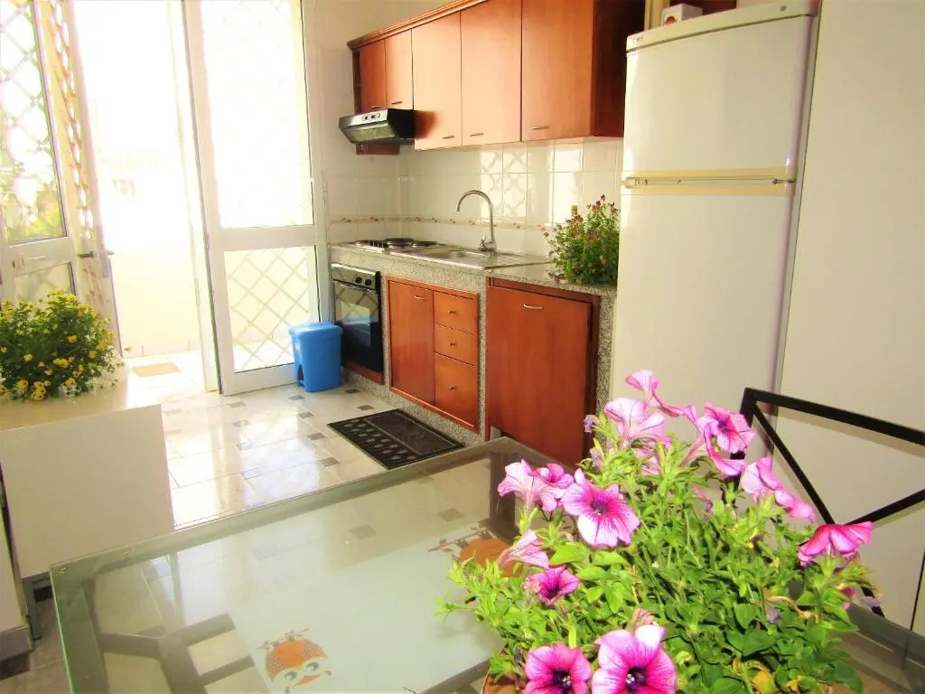 Apartment with 2 bedrooms in Torre San Giovanni with furnished terrace 150 m from the beach