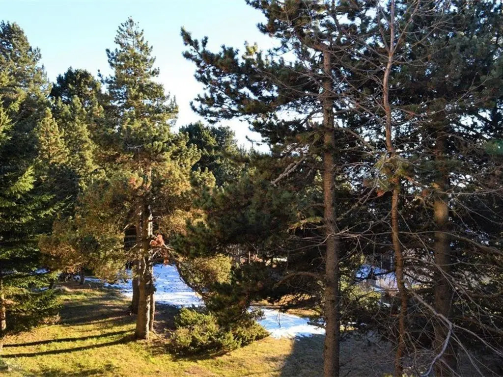 Appartement Font-Romeu-Odeillo-Via, 3 pièces, 6 personnes - FR-1-580-32
