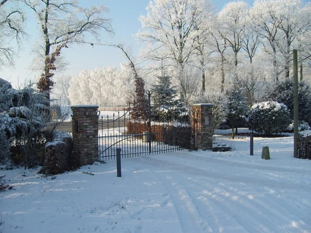 Beukenhaeghe