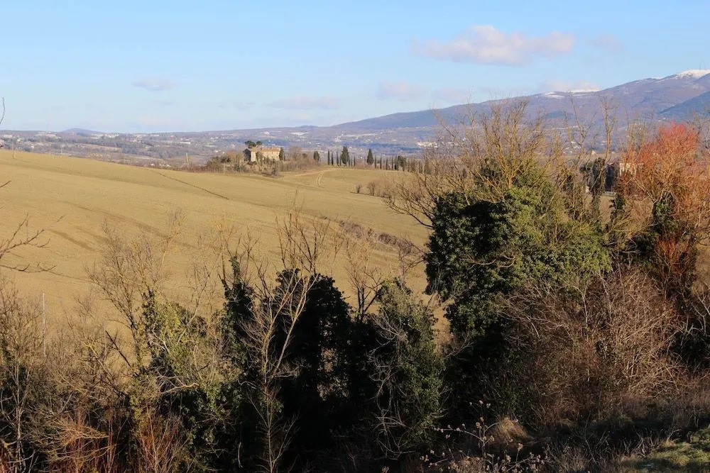 Il Poggio Del Tartufo