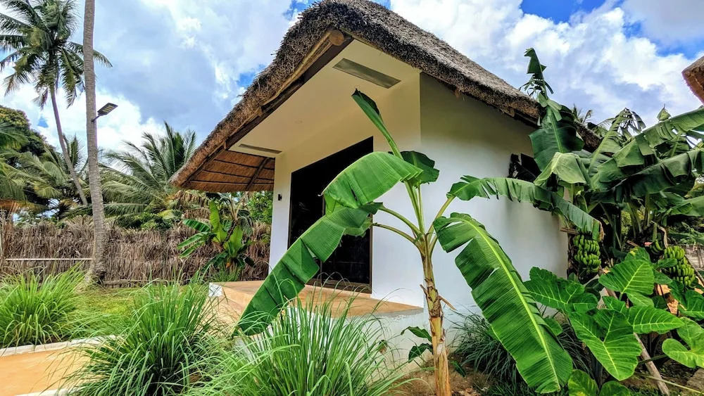 Waterfall Retreat,Pemba Island,Zanzibar