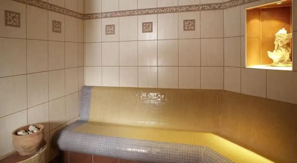 Spa Hotel Bily Horec