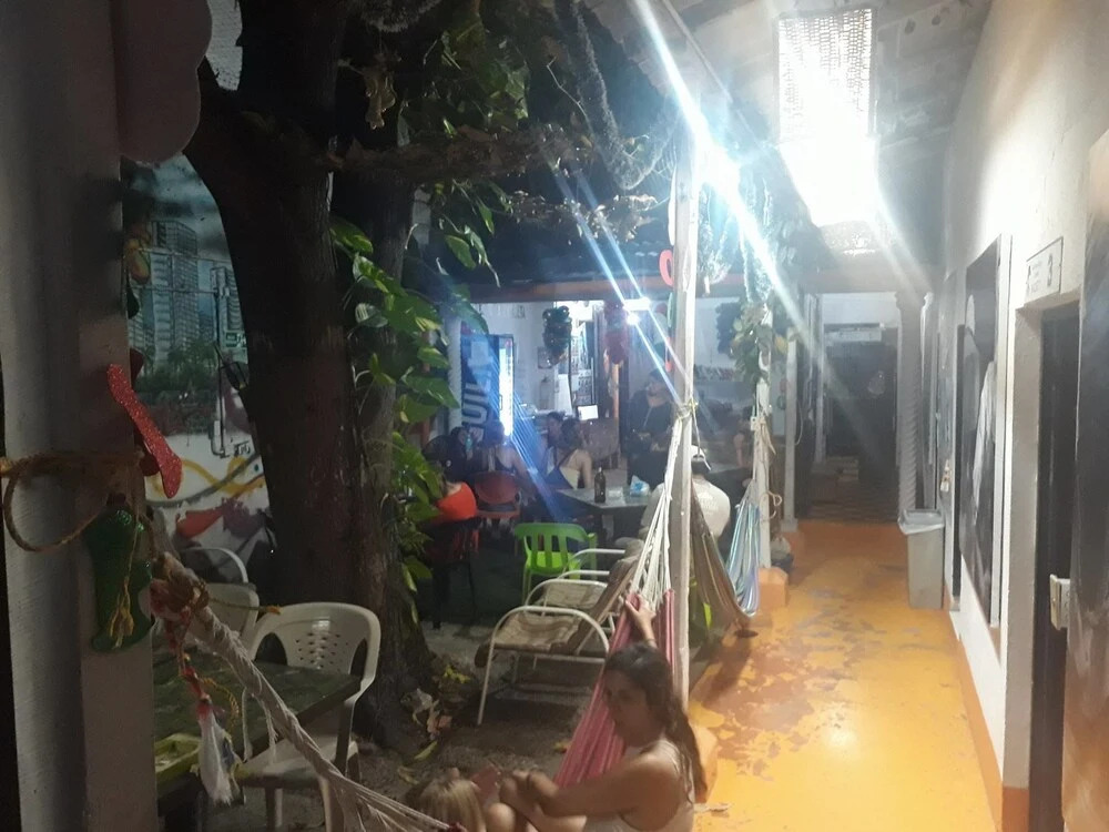 Tree House Hostel