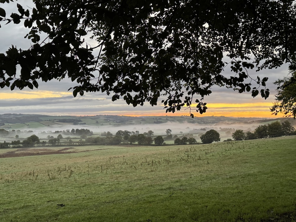 The Bus on the Hill
