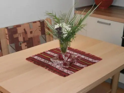 Apartment Žvan