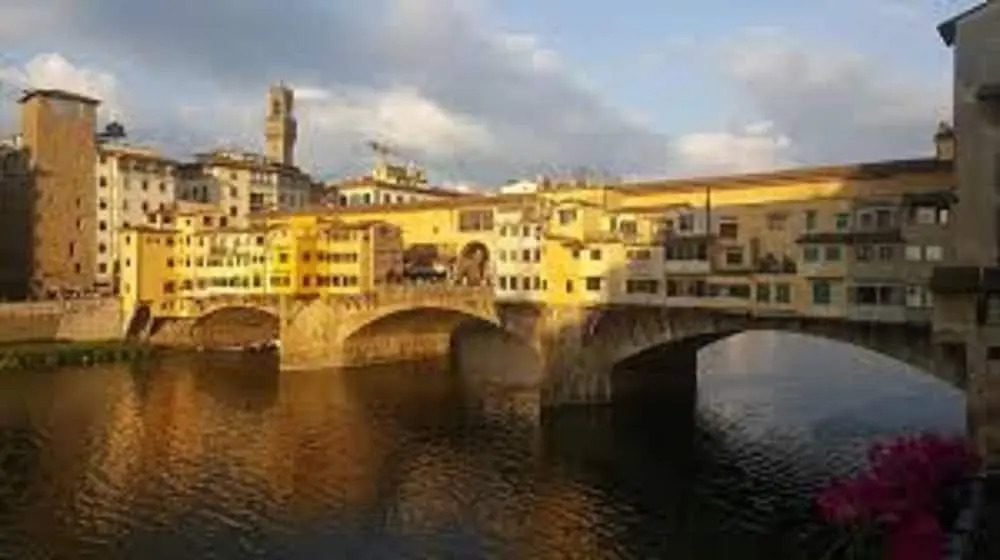 Macci Art
