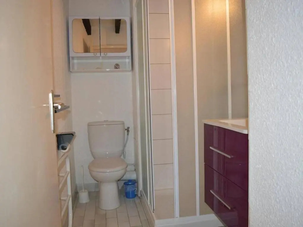Appartement Saint-Cyprien, 2 pièces, 4 personnes - FR-1-225D-169