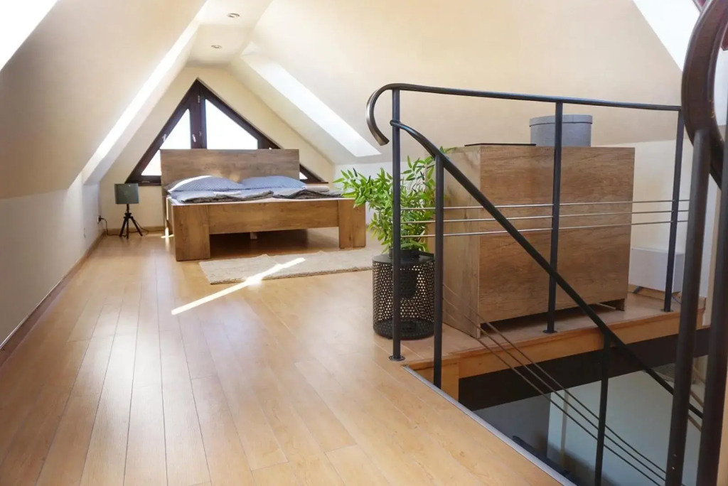 Rooftop Deluxe apartment