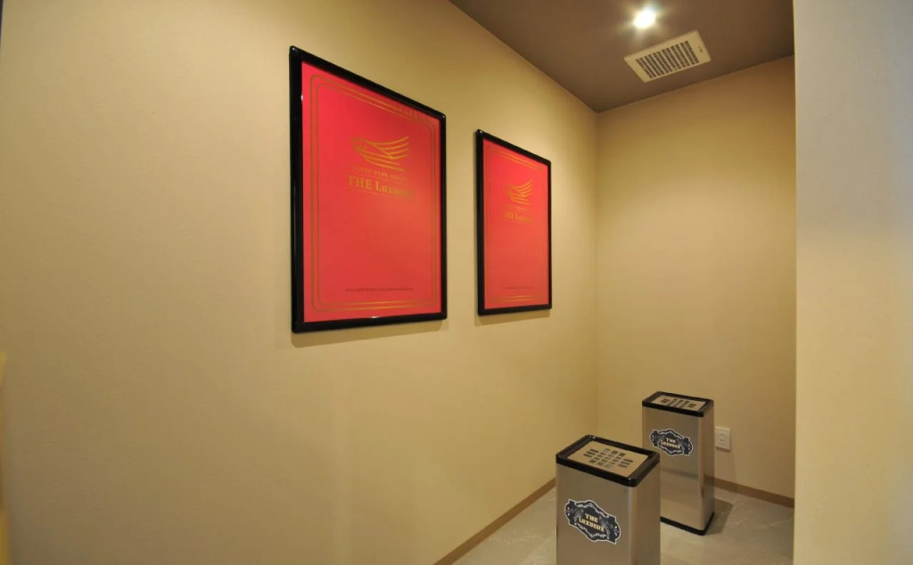 Grand Park Hotel The Luxueux Minami Kashiwa