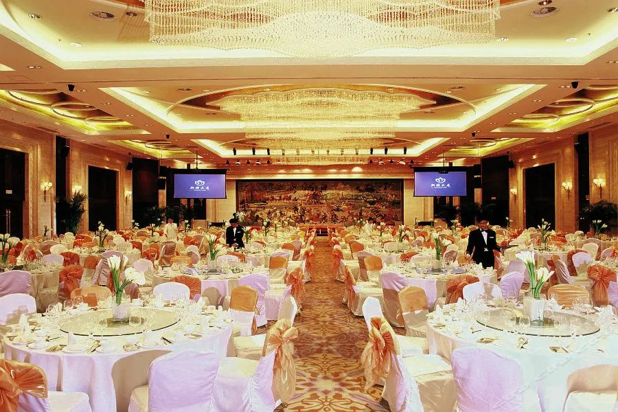 Xinjiang Plaza VIP Building