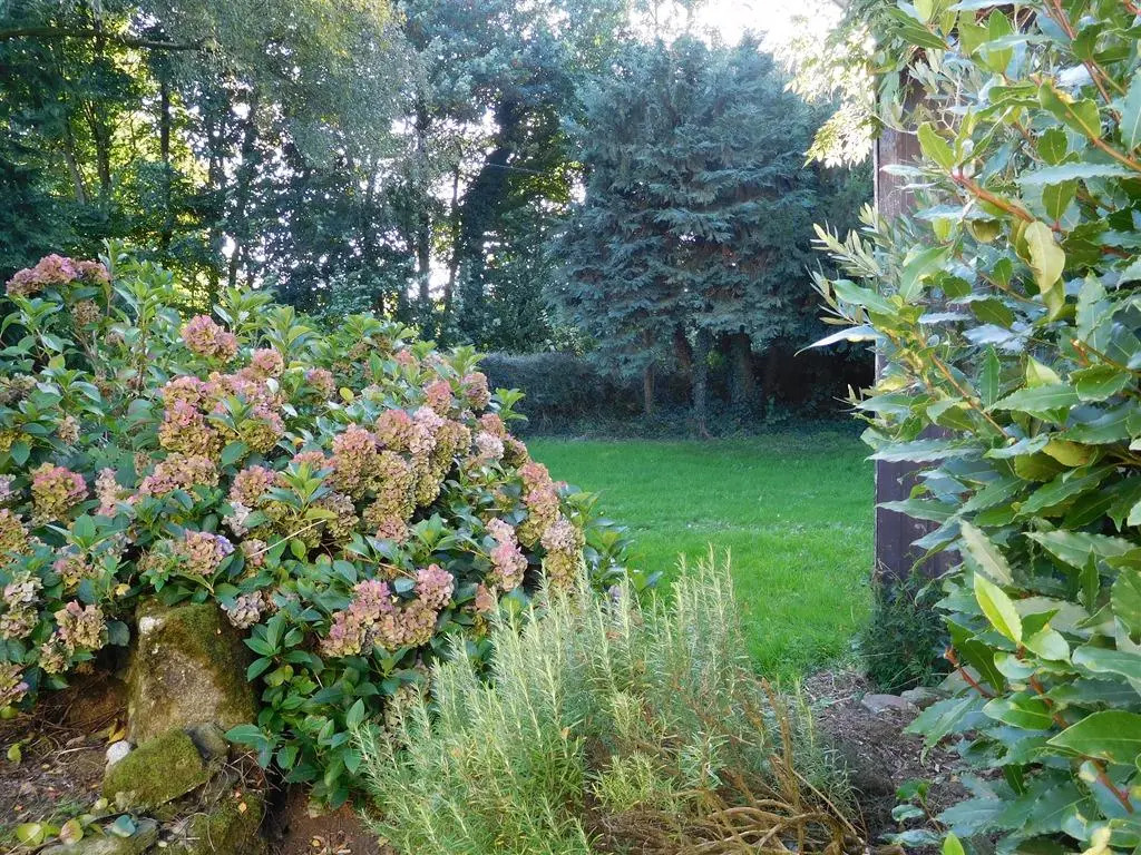 B&B ~ Repos sous les arbres