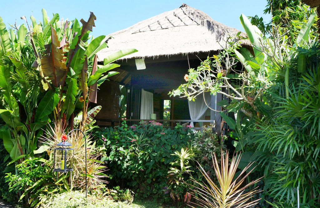 Samanvaya