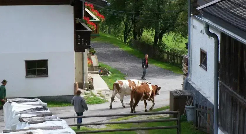 Oberbichlgut